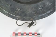 Foto von Bronzebreitrandschale (NHMW-PRAE-024476)